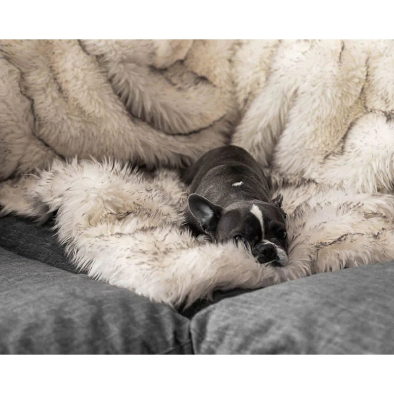 Sherpa Fleece Dog Blanket