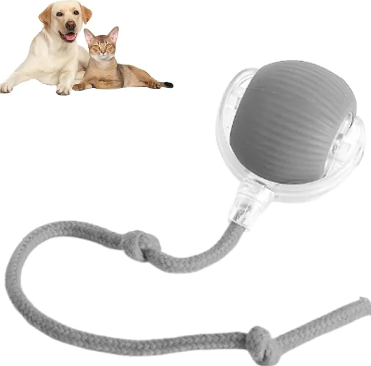 Pets Ball Toy