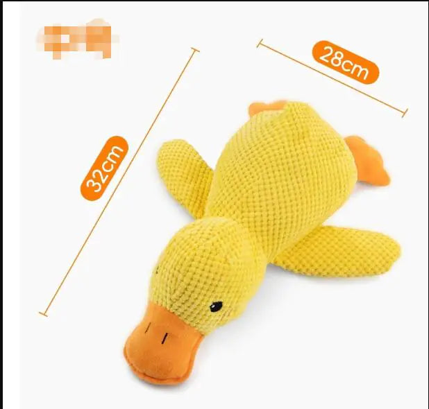 Calming Duck